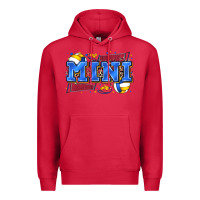 Cardinal mini volleyball Premium Hoodie - Zillion Design Studio