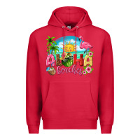 Cardinal aloha beaches Premium Hoodie - texasbilliewilder