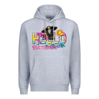 Heather Grey hello summer Premium Hoodie - texasbilliewilder