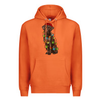 Carrot Christmas labrador retriever Premium Hoodie - RanaPortraitStore
