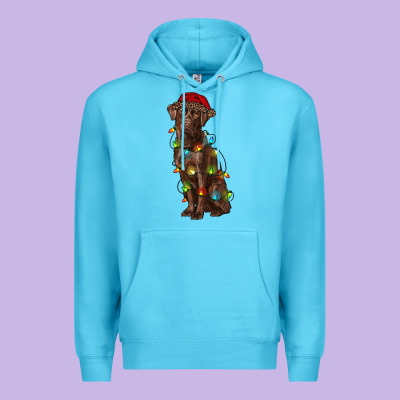 Christmas Labrador Retriever Premium Hoodie Designed By Ranaportraitstore
