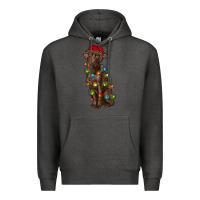 Charcoal Heather Christmas labrador retriever Premium Hoodie - RanaPortraitStore