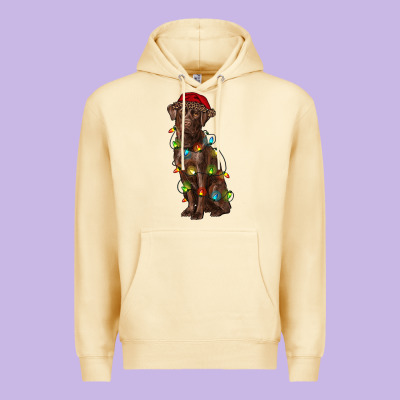 Christmas Labrador Retriever Premium Hoodie Designed By Ranaportraitstore