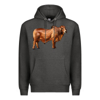 Charcoal Heather brahman bull Premium Hoodie - RanaPortraitStore