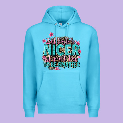 I'll Try To Be Nicer If You'll Try Ti Be Smarter Premium Hoodie Designed By Adodesignshop