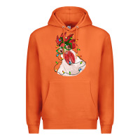 Carrot christmas rooster with lights Premium Hoodie - RanaPortraitStore