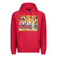 Cardinal salty vibes Premium Hoodie - texasbilliewilder