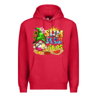 Cardinal summer vibes gnome tbw Premium Hoodie - texasbilliewilder