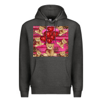 Charcoal Heather valentine's day tedybear tumbler Premium Hoodie - RanaPortraitStore