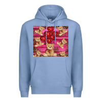 Colony Blue valentine's day tedybear tumbler Premium Hoodie - RanaPortraitStore
