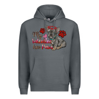 Rock my valentine has paws french bulldog Premium Hoodie - RanaPortraitStore