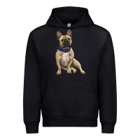 Black french bulldog with royal blue Urban Hoodie - RanaPortraitStore