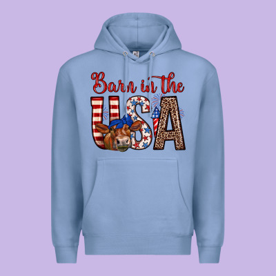 Barn In The Usa Premium Hoodie Designed By Zillion Design Studio