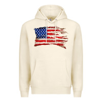 Tofu tattered american flag Premium Hoodie - Zillion Design Studio