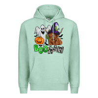 Seafoam boohaw Premium Hoodie - Zillion Design Studio