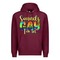 Burgundy sounds gay i m in Premium Hoodie - Zillion Design Studio