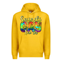 Lemon sounds gay i m in Premium Hoodie - Zillion Design Studio