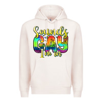 Pale Pink sounds gay i m in Premium Hoodie - Zillion Design Studio