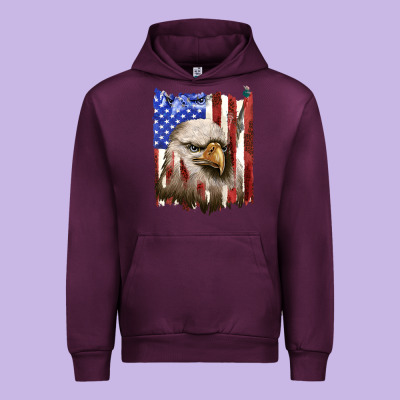 Urban Hoodie usa flag with eagle head