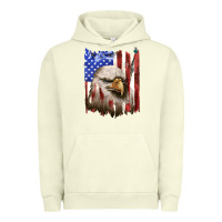 Pigment Pistachio usa flag with eagle head Urban Hoodie - texasbilliewilder
