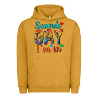 Sounds Gay Im In Urban Hoodie | Teevron