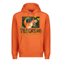 Carrot teaching is a walk in the park Premium Hoodie - texasbilliewilder