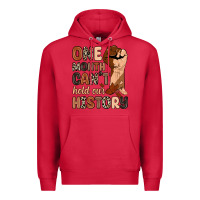 Cardinal one month can't hold our history Premium Hoodie - Zillion Design Studio