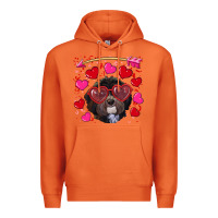 Carrot valentine's day havanese dog Premium Hoodie - RanaPortraitStore