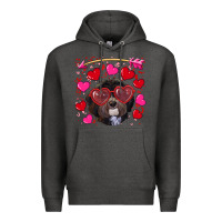 Charcoal Heather valentine's day havanese dog Premium Hoodie - RanaPortraitStore