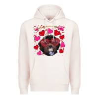 Pale Pink valentine's day havanese dog Premium Hoodie - RanaPortraitStore