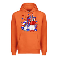 Carrot 4th of july american unicorn Premium Hoodie - texasbilliewilder