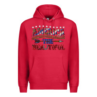 Cardinal America the beautiful Premium Hoodie - texasbilliewilder