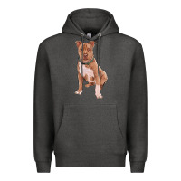 Charcoal Heather brown pitbull Premium Hoodie - RanaPortraitStore