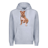 Heather Grey brown pitbull Premium Hoodie - RanaPortraitStore