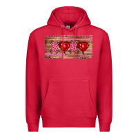 Cardinal Valentine's Day Xoxo Premium Hoodie - RanaPortraitStore
