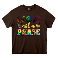 Chocolate Brown not a phase pride moon Heavy Core Tee - LillyAllenDesigns