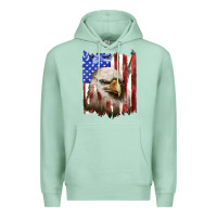 Seafoam usa flag with eagle head Premium Hoodie - texasbilliewilder