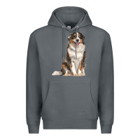 Rock Australian shepherd Premium Hoodie - RanaPortraitStore