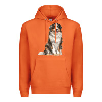 Carrot Australian shepherd Premium Hoodie - RanaPortraitStore
