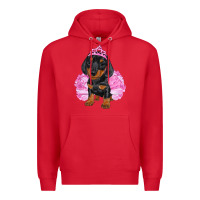 Red Balerina Dachshund With Tutu Premium Hoodie - RanaPortraitStore