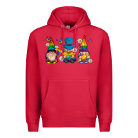 Cardinal pride gnomies Premium Hoodie - texasbilliewilder
