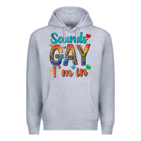 Heather Grey sounds gay im in Premium Hoodie - texasbilliewilder