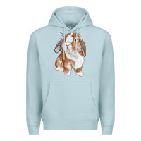 Blue Mist Cute Bunny Premium Hoodie - RanaPortraitStore