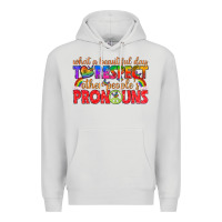 What A Beautiful Day To Respect Other Peoples Pron Premium Hoodie | Teevron