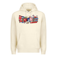 Sandshell American teacher Premium Hoodie - Zillion Design Studio