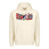 Tofu American teacher Premium Hoodie - Zillion Design Studio