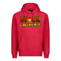 Cardinal black excellence juneteenth Premium Hoodie - texasbilliewilder