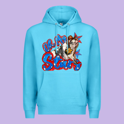 Oh My Stars Pig Premium Hoodie Designed By Zillion Design Studio