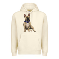 Sandshell French bulldog with royal blue Premium Hoodie - RanaPortraitStore