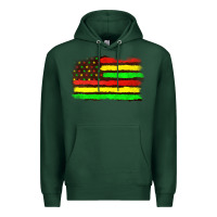Sports Green juneteenth flag Premium Hoodie - texasbilliewilder